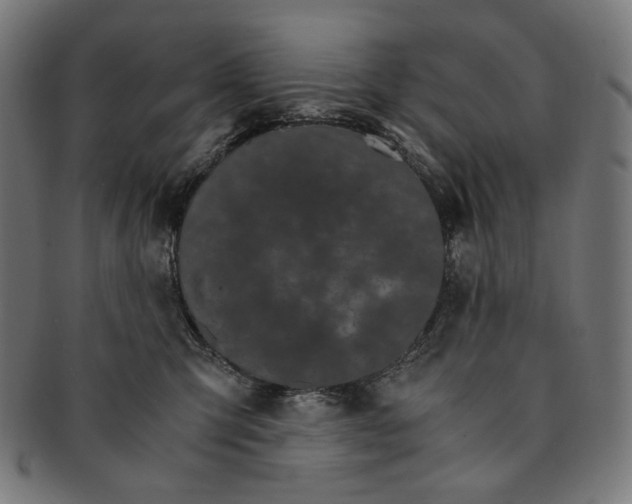 X0000091180423200709060958