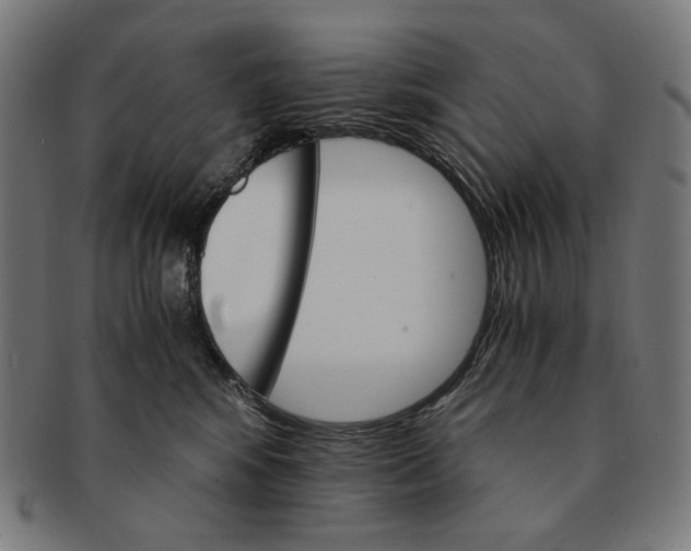 X0000091180424200709060958