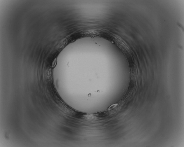 X0000091180425200709060958