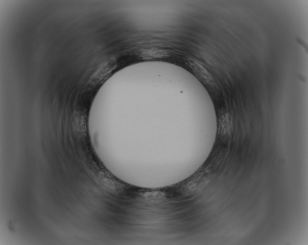 X0000091180426200709060958