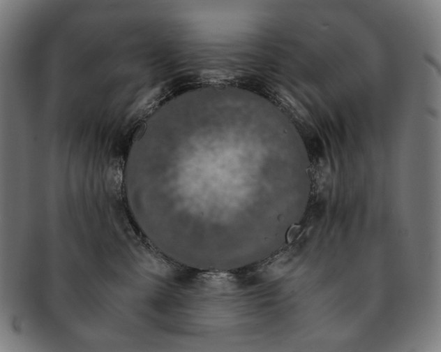 X0000091180427200709060958