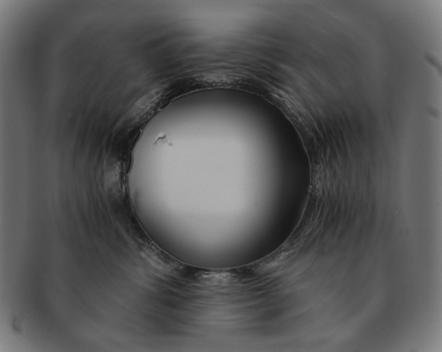 X0000091180428200709060958