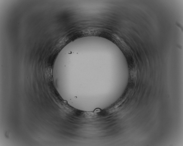 X0000091180429200709060958