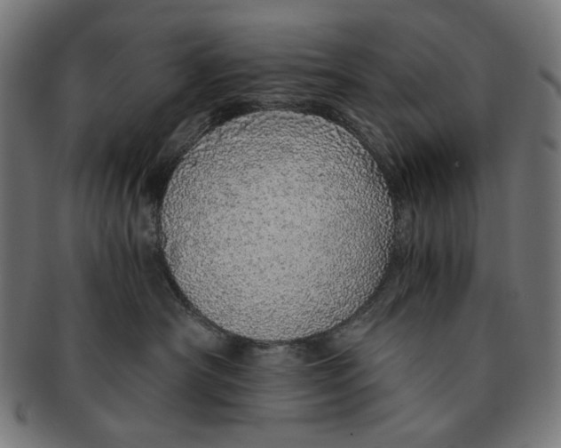 X0000091180430200709060958