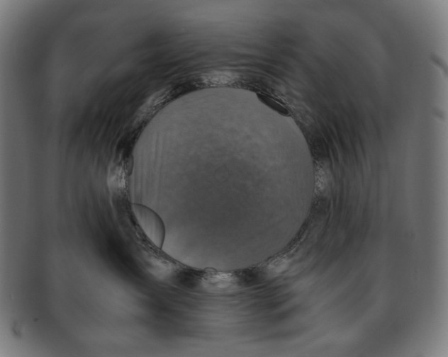 X0000091180431200709060958