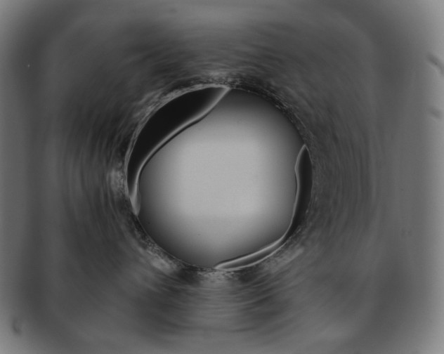 X0000091180432200709060958
