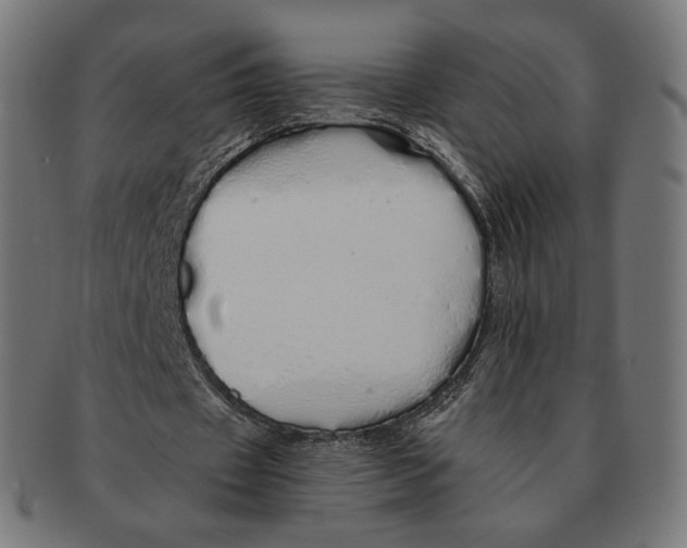 X0000091180433200709060957