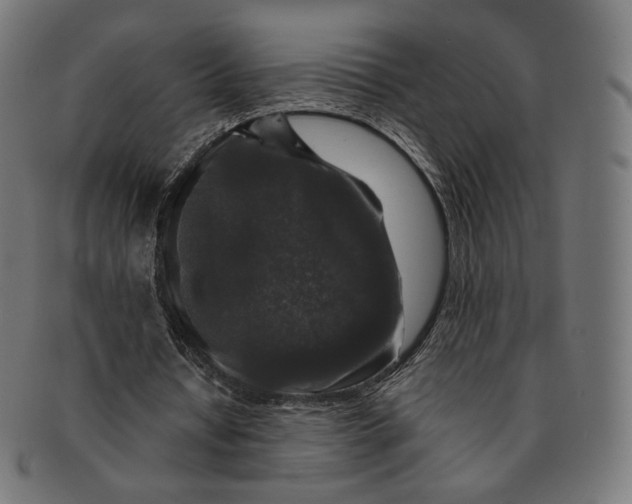 X0000091180434200709060957