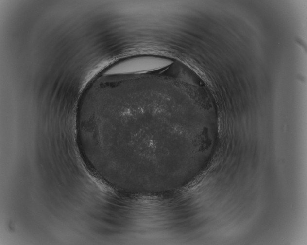 X0000091180438200709060957