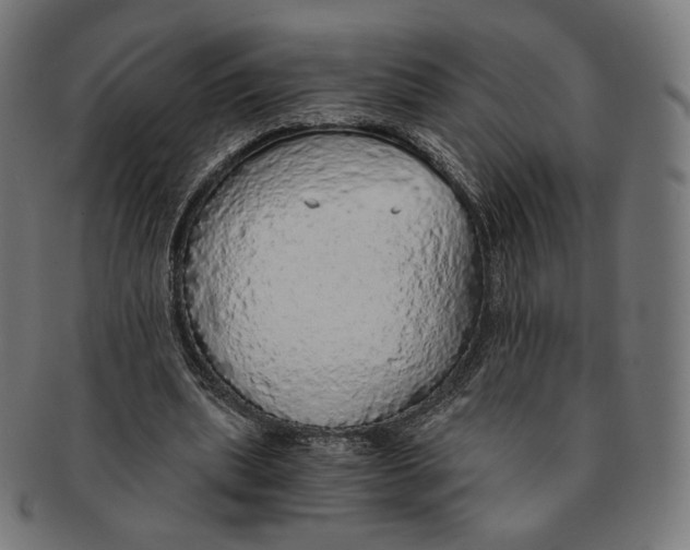 X0000091180439200709060957