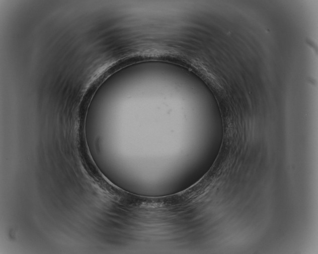X0000091180440200709060957