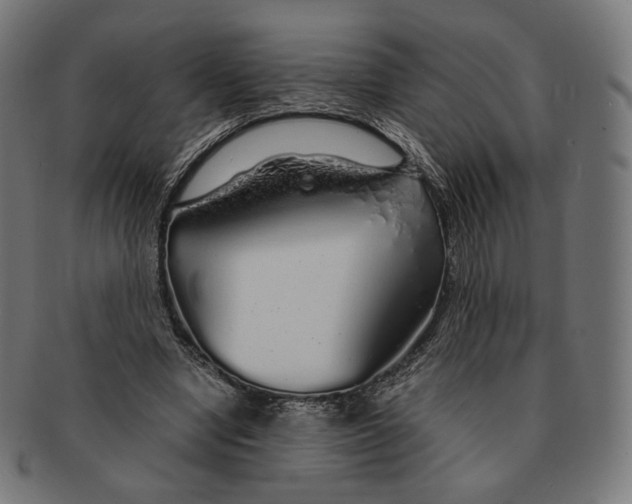 X0000091180442200709060957
