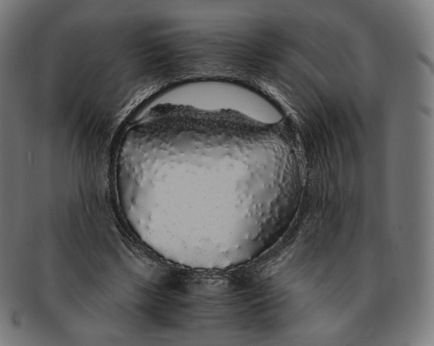 X0000091180443200709060957