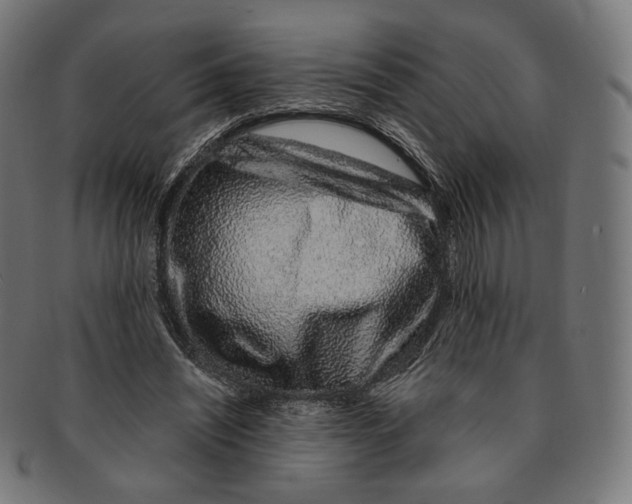 X0000091180444200709060957