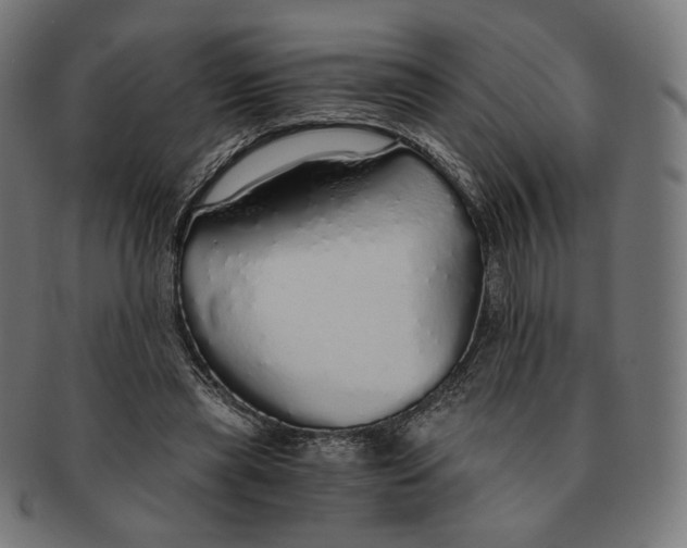 X0000091180445200709060957