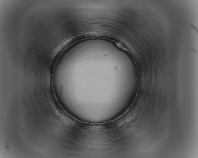 X0000091180446200709060957