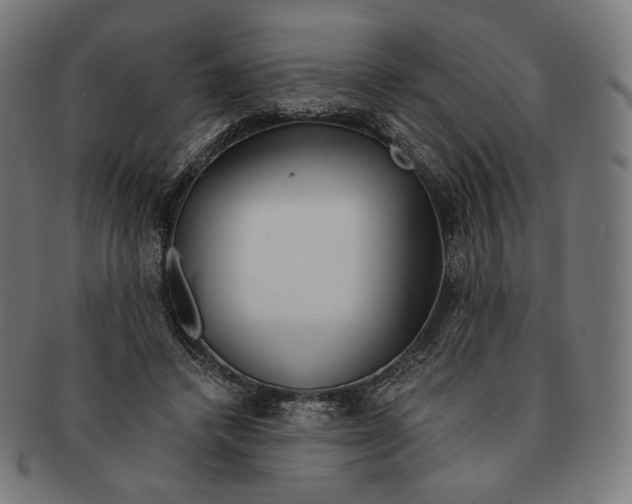 X0000091180448200709060957