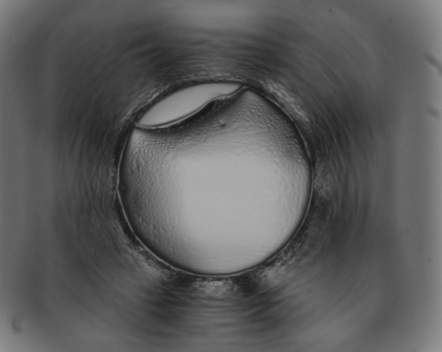 X0000091180449200709060957