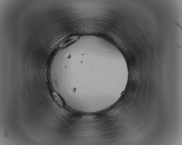 X0000091180450200709060957