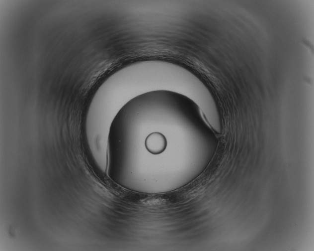 X0000091180452200709060957