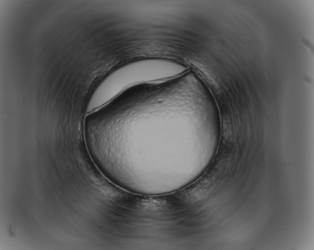 X0000091180453200709060957