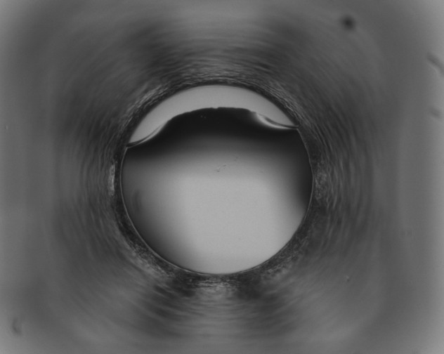 X0000091180454200709060957
