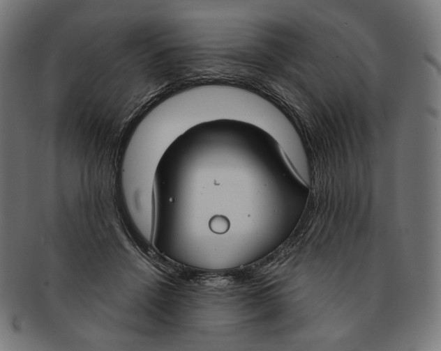 X0000091180456200709060957