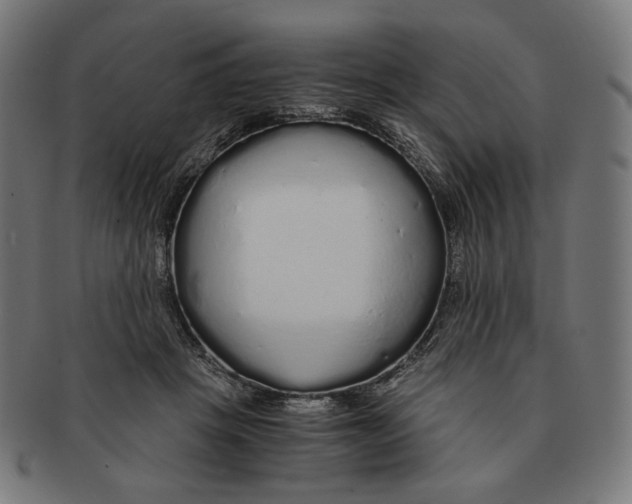 X0000091180457200709060957