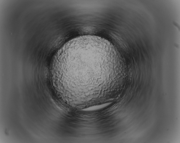 X0000091180459200709060957