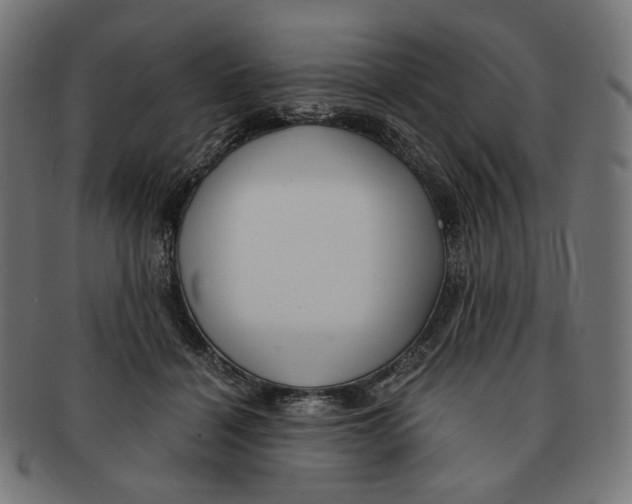 X0000091180460200709060957