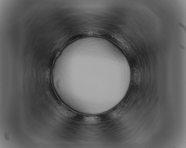X0000091180461200709060957