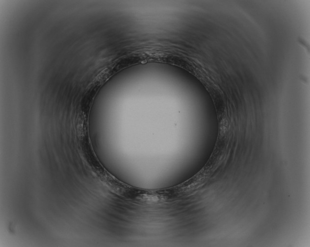 X0000091180464200709060957