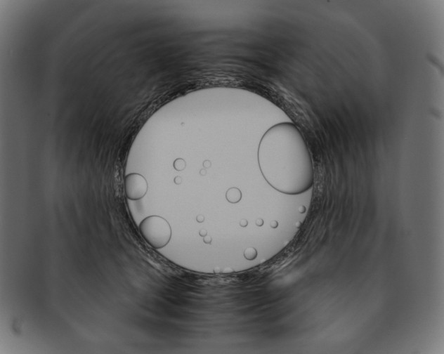 X0000091180465200709060957