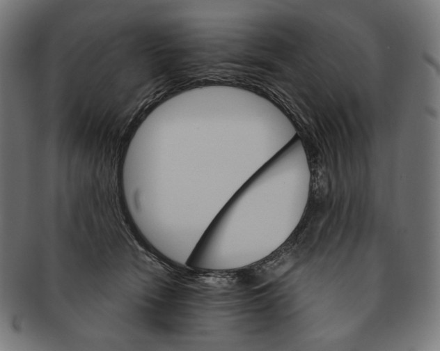 X0000091180466200709060957