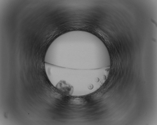 X0000091180467200709060957