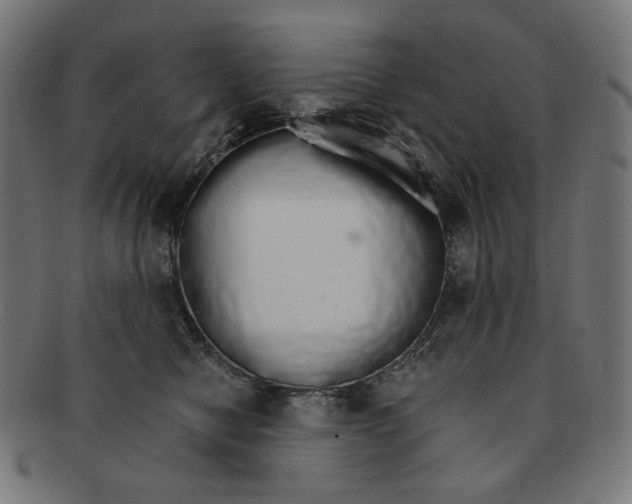 X0000091180470200709060957