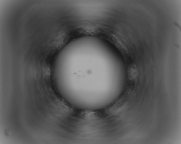 X0000091180472200709060957