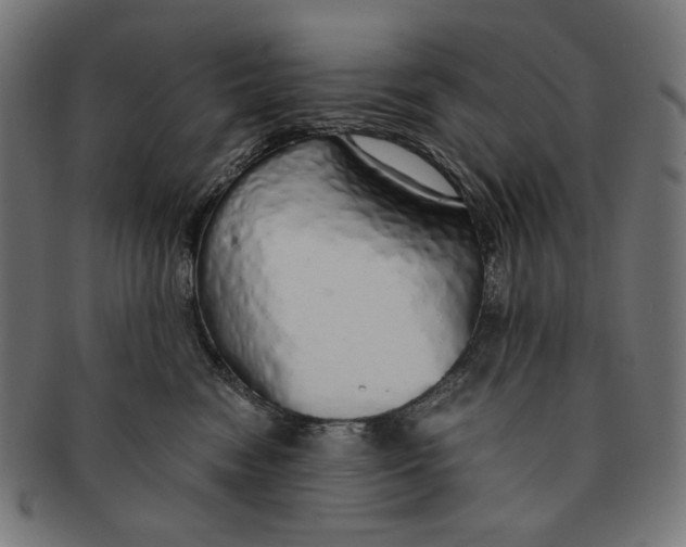 X0000091180474200709060957
