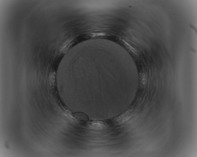 X0000091180475200709060957