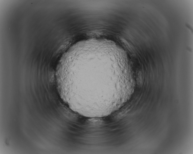 X0000091180477200709060958
