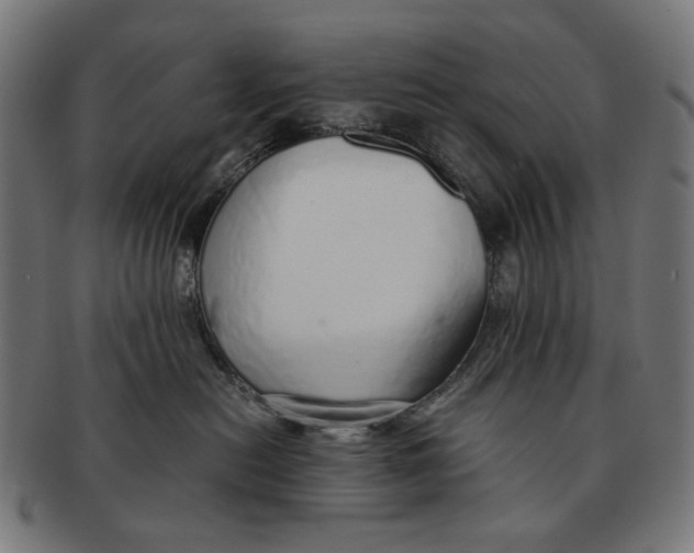 X0000091180478200709060958