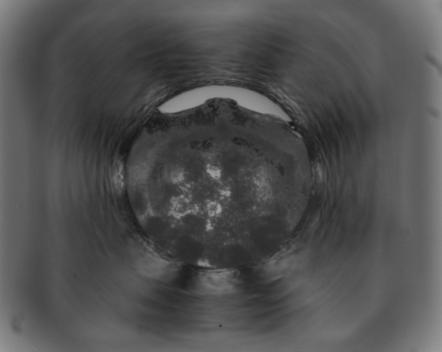 X0000091180479200709060958