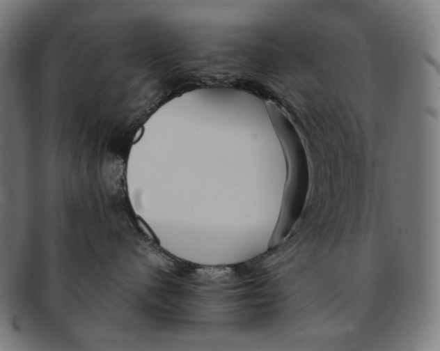 X0000091180480200709060958