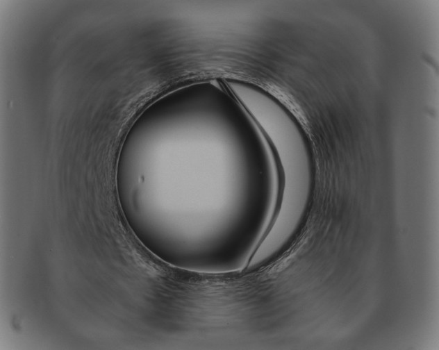 X0000091180481200709060957
