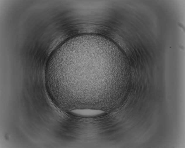 X0000091180482200709060957