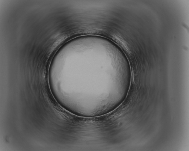 X0000091180483200709060957