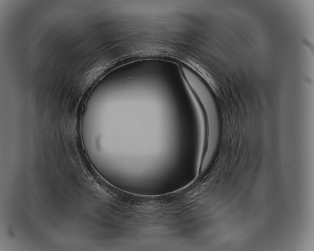 X0000091180485200709060957