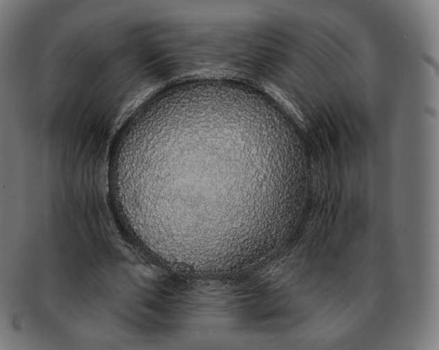 X0000091180486200709060957