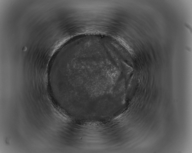 X0000091180488200709060957