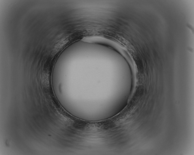 X0000091180489200709060957